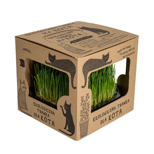 Ekologiczna trawka dla kota w biodegradowalnym pudełku - 100% naturalna trawa dla kotów od polskiego producenta